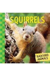 Squirrels