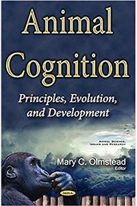 Animal Cognition