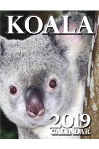 Koala 2019 Calendar