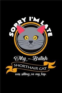 Sorry I'm late my british shorthair cat was on my lap