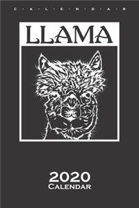 Lama Portrait Calendar 2020