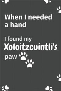 When I needed a hand, I found my Xoloitzcuintli's paw
