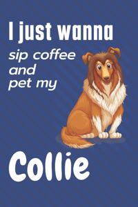 I just wanna sip coffee and pet my Collie