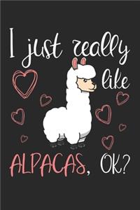 I Just Really Like Alpacas, OK?