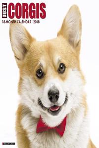 Just Corgis 2018 Wall Calendar (Dog Breed Calendar)