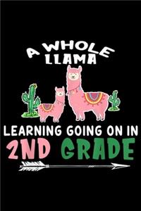 A whole llama learning going on in 2nd Grade