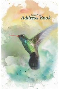 Large Print Address Book