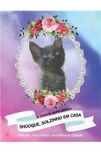 Shooque, Solzinho Em Casa