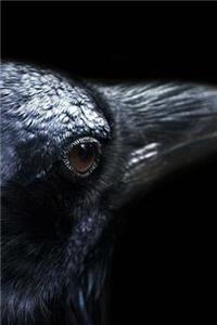 Crow