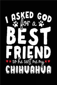 I Asked God For A Best Friend So He Sent Me My Chihuahua
