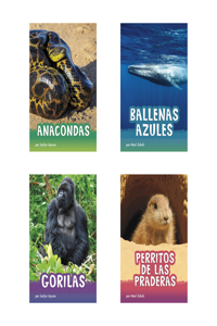 Animals En Espanol