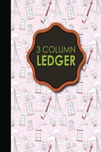 3 Column Ledger