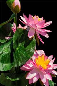 Pink Lotus Flower Arrangement Journal