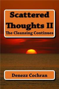 Scattered Thoughts II