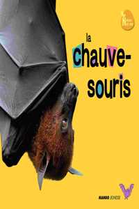 La chauve souris