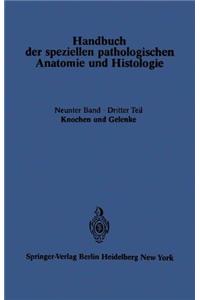Knochen und Gelenke