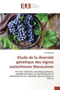 Etude de la diversité génétique des vignes autochtones Marocaines