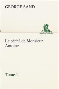 péché de Monsieur Antoine, Tome 1