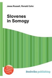 Slovenes in Somogy