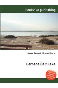 Larnaca Salt Lake