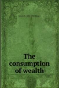 consumption of wealth