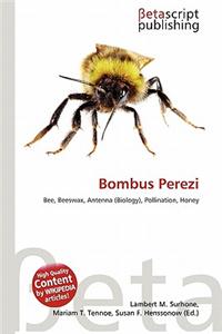 Bombus Perezi