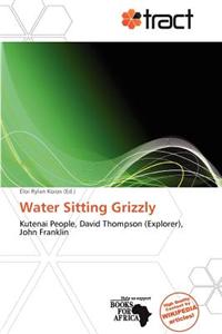 Water Sitting Grizzly