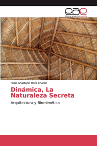 Dinámica, La Naturaleza Secreta