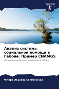 Анализ системы социальной помощи в Габоне