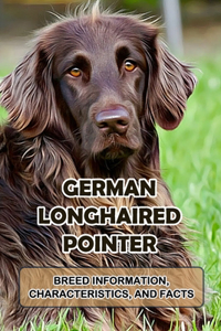 German Longhaired Pointer