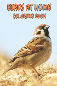 Birds at Home Coloring Book