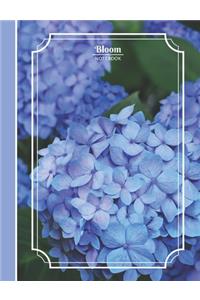 Bloom