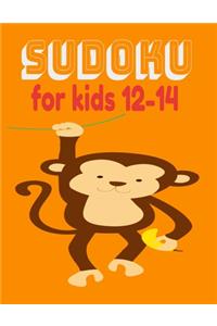 sudoku for kids 12-14