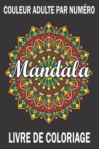 Couleur Adulte Par Numéro Mandala Livre De Coloriage