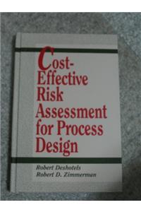 Cost-effective Risk Assessment for Process Design