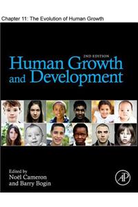 Safety and Efficacy Evaluation Using Nonhuman Primates