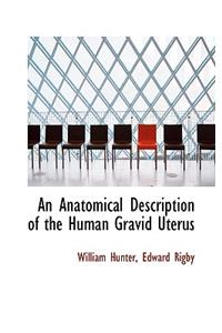 An Anatomical Description of the Human Gravid Uterus