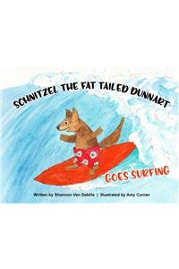Schnitzel the Fat Tailed Dunnart Goes Surfing