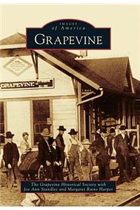 Grapevine