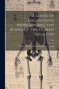 Series of Engravings, Representing the Bones of the Human Skeleton