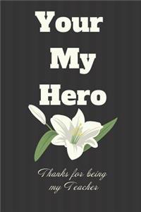 Your My Hero Thanks for being my Teacher