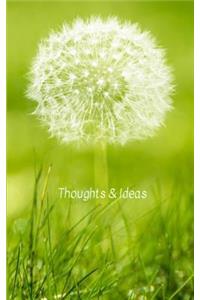 Thoughts & Ideas