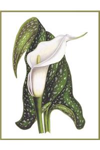 Notebook Calla Lily