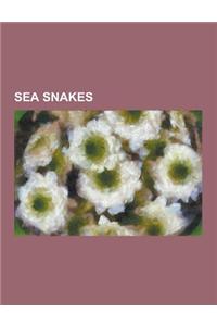 Sea Snakes