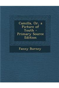 Camilla, Or, a Picture of Youth - Primary Source Edition