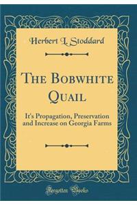 The Bobwhite Quail