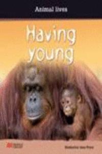 Having Young