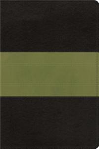 ESV Study Bible, Personal Size