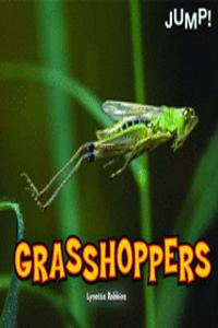 Grasshoppers