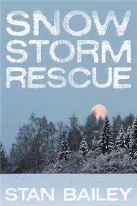 Snow Storm Rescue